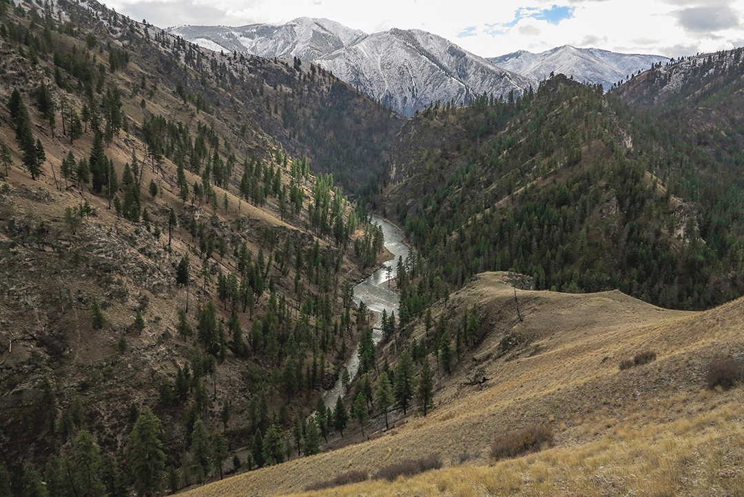 The Salmon River cuts through the wilderness and creates steep country. The elk that Jason and his friend stalked were bedded on the bench below, and the slope allowed the hunters to get above the bulls without detection.